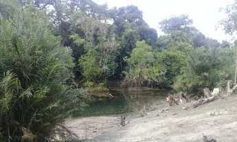 Imagem 5: Fazenda à venda 597Alq. 2.889,48Ha dupla aptidão. Cocalinho/MT