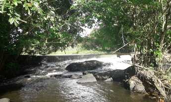 Imagem 5: Fazenda 127tarefas-St*Antonio Jesus-Ba