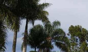 Imagem 6: Terreno à venda, 3000 m² por R$ 189.900,00 - Salvaterra - Juiz de Fora/MG