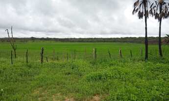 Imagem 4: FAZENDA CARNAÚBA NO QUIXADA