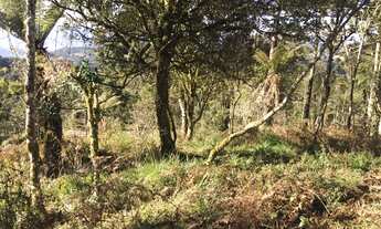 Imagem 6: Chácara em Urubici