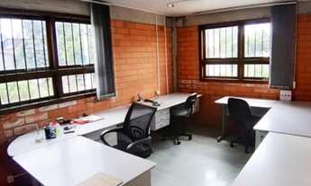 Imagem 5: CAXIAS DO SUL - Galpão/Depósito/Armazém - CRUZEIRO