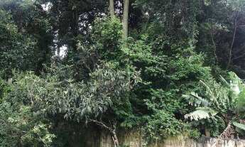 Imagem 4: Casa à venda, 275 m² por R$ 950.000,00 - Roseira - Mairiporã/SP