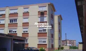 Imagem: Pelotas - Apartamento Padrão - Areal