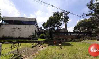 Imagem 7: São Paulo - Galpão/Depósito/Armazém - Cangaíba