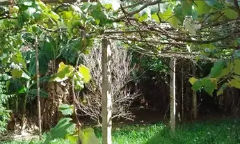 Imagem 5: Casa em Nonoai Casa com 3 dormitórios