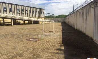 Imagem 2: Salão/Galpão (salão - térreo