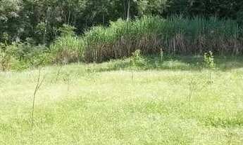 Imagem 3: Sitio Chácara com venda por R$200.000