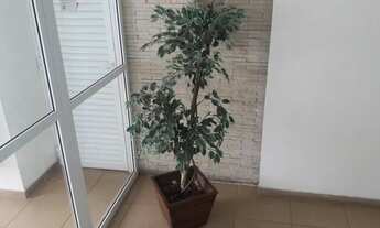 Imagem 5: LINDO APARTAMENTO DE 2 DORMITÓRIOS PRÓXIMO AO SHOPPING TIÊTE PLAZA