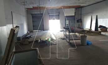 Imagem 4: Araçatuba - Imovel Comercial - São Vicente