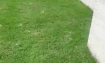 Imagem 4: THE CLUB - Térreo com Garden 112 m2