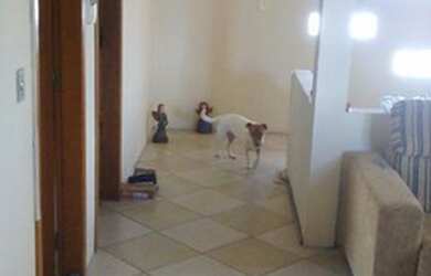 Imagem 4: Casa para Venda - 267m², 4 dormitórios, 3 vagas - Esmeralda