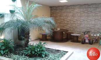 Imagem 5: São Paulo - Casa Padrão - Tatuapé