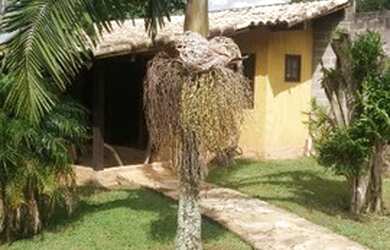 Imagem 2: MAIRINQUE - Casa Padrão - JARDIM DA MATA