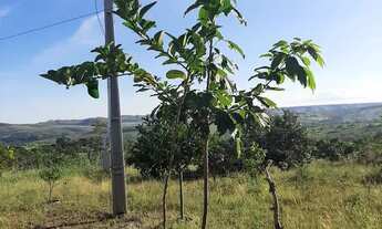 Imagem 3: Ótima chácara em Santo Antônio do Descoberto-GO
