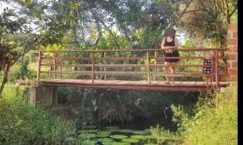 Imagem 7: Vendo chácara em lagarto