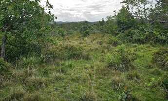 Imagem 6: Vendo excelente lote em Nazaré das farinha