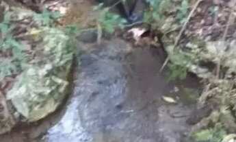 Imagem 5: Terreno chácara 26.000 M2 Colombo