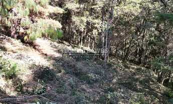 Imagem 7: Lote de Terreno em Associação Consolidada na Região do Imbiri - Campos do Jordão/SP