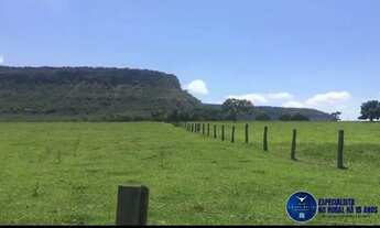 Imagem 2: Fazenda à venda em Quirinópolis/GO 43 Alqueires