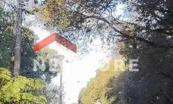 Imagem 4: Lote em Rua São Gotardo - São Bernardo - São Francisco de Paula/RS