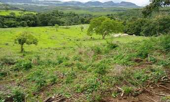 Imagem 2: Sítio todo formado para boi ,ótima localização