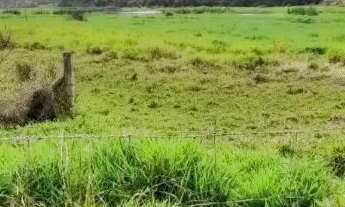 Imagem 3: 60 alqueires em Monte Aprazível/SP EXCELENTE LOCALIZAÇÃO: 8 km do asfalto