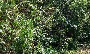 Imagem 4: VENDE-SE EXCELENTE TERRENO RIO PRETO EVA - PROX. RODOVIA AM 010