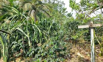 Imagem 14: Oportunidade única