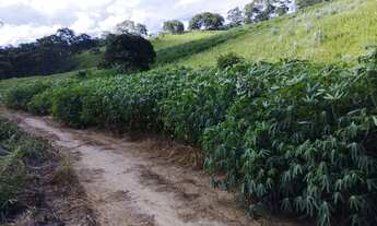 Imagem 4: Venda-se está propriedade de 1 alqueires e 17 LTS e 814,65m²no Município de Cachoeiro de