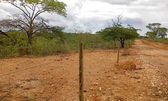 Imagem 6: Fazenda 23 hectares Juramento MG