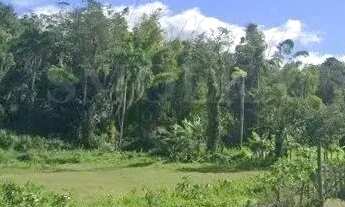 Imagem 2: Terreno a venda na Estrada Geral do bairro Ratones