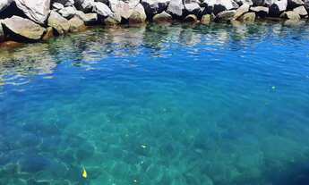 Imagem 6: Angra porto real resort