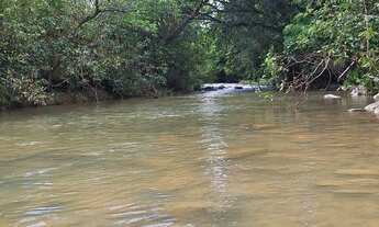 Imagem 6: Sítio em Buritis Minas Gerais
