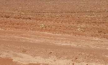 Imagem 3: Fazenda de cana Fazenda / sítio com venda por R$8.160.000