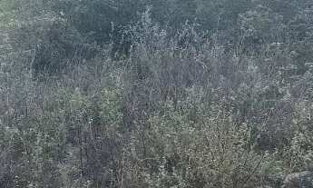 Imagem 3: Vendo ou troco) Terreno 1.200m² - Loteamento Baraúna, Ponto da Pinha, Retirolândia