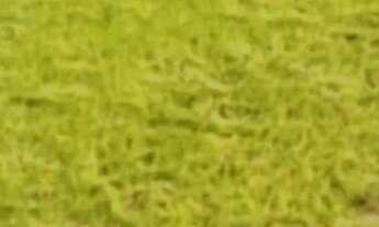 Imagem 2: Terrenos promocionais na cidade de Ibiúna - SP