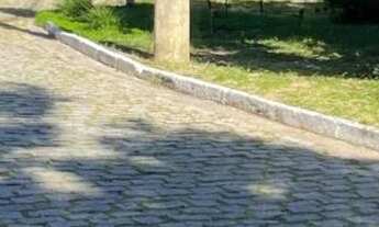 Imagem 6: Terreno em lindo condomínio em Piratininga na Região Oceânica de Niterói