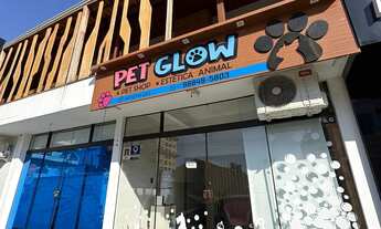 Imagem: Passo Banho e Tosa em Navegantes