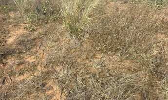 Imagem 3: Chacaras demarcadas em serra azul