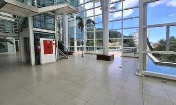 Imagem 3: Loja, Federação