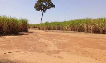 Imagem 3: FAZENDA COM 200 ALQUEIRES PAULISTA, EM DIRCE REIS- SP
