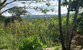 Imagem 4: Vendo chacara formada