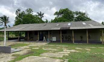 Imagem 6: Fazenda 200 hectares na AM 010 km 195 2.500.000