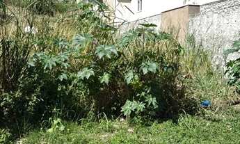 Imagem 3: Lote em Guaraari ES