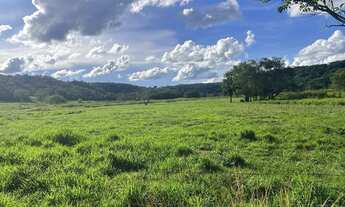Imagem 6: Fazenda campina verde