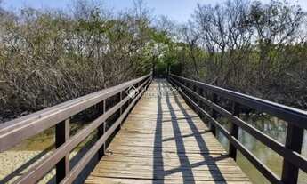 Imagem 3: Imóvel para venda com 140 metros quadrados com 4 quartos em Ponta das Canas - Florianópoli