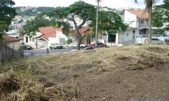 Imagem 6: TERRENO - JARDIM RINCÃO - SP