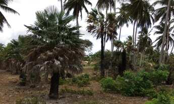 Imagem 6: Terreno na Praia de Santa Clara- H. de Campos