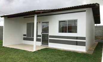 Imagem 2: Gran jardim violetas 4